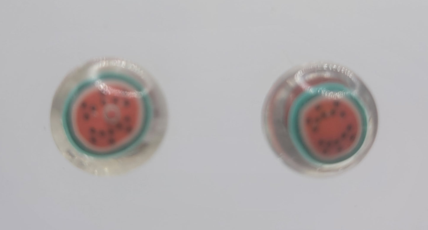 Handmade Watermelon Resin Earrings - Juicy