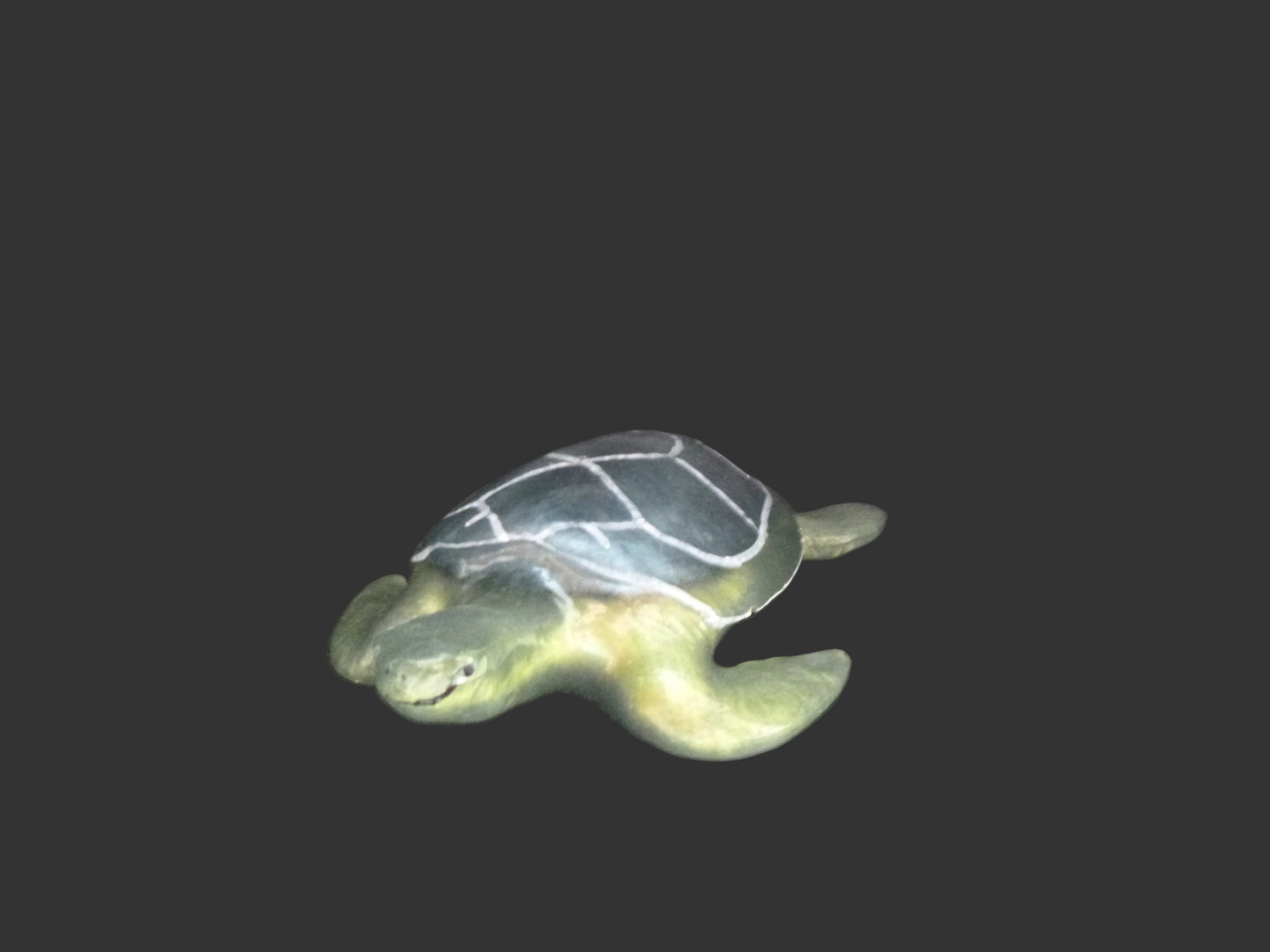 Turtle