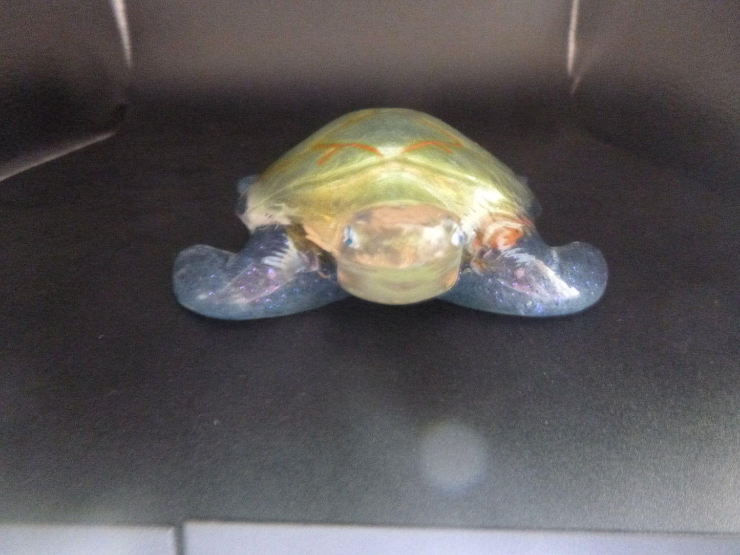 Turtle