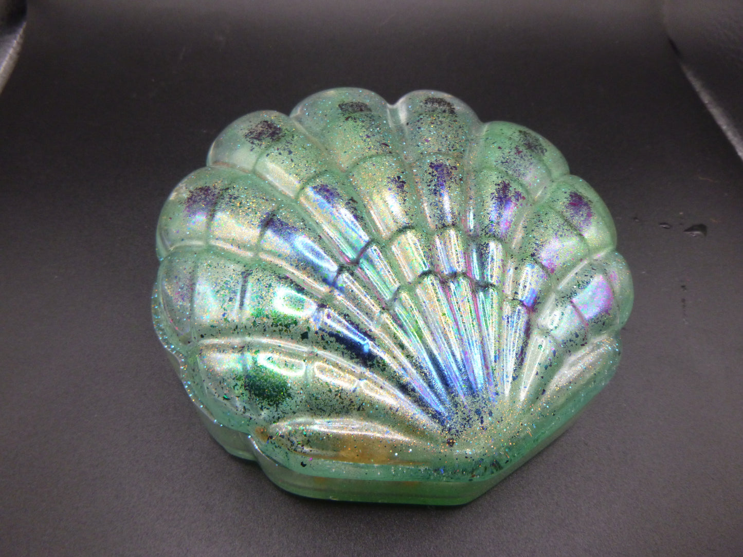 Seashell Jewelry Storage