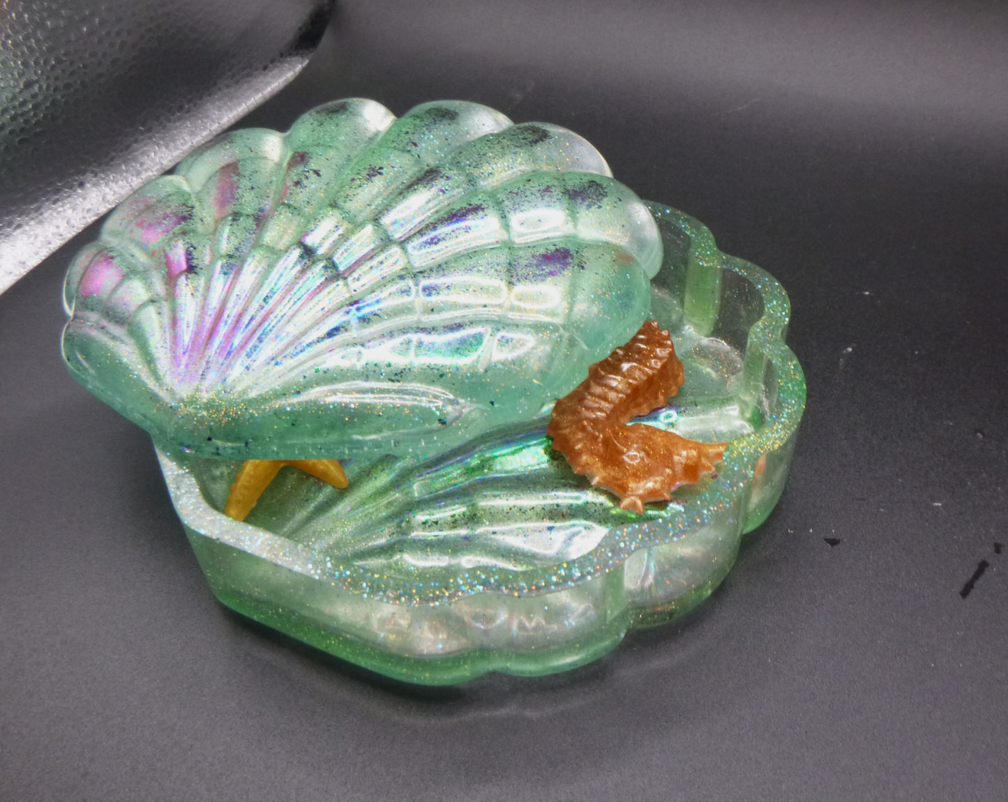 Seashell Jewelry Storage