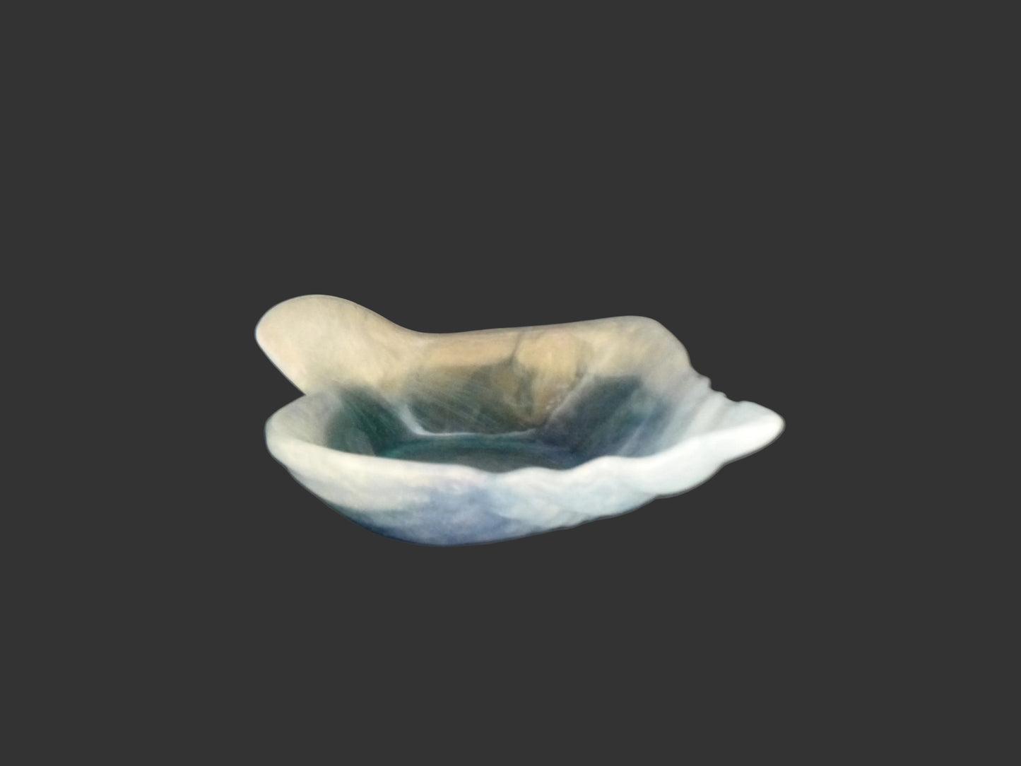 Seashell Dish