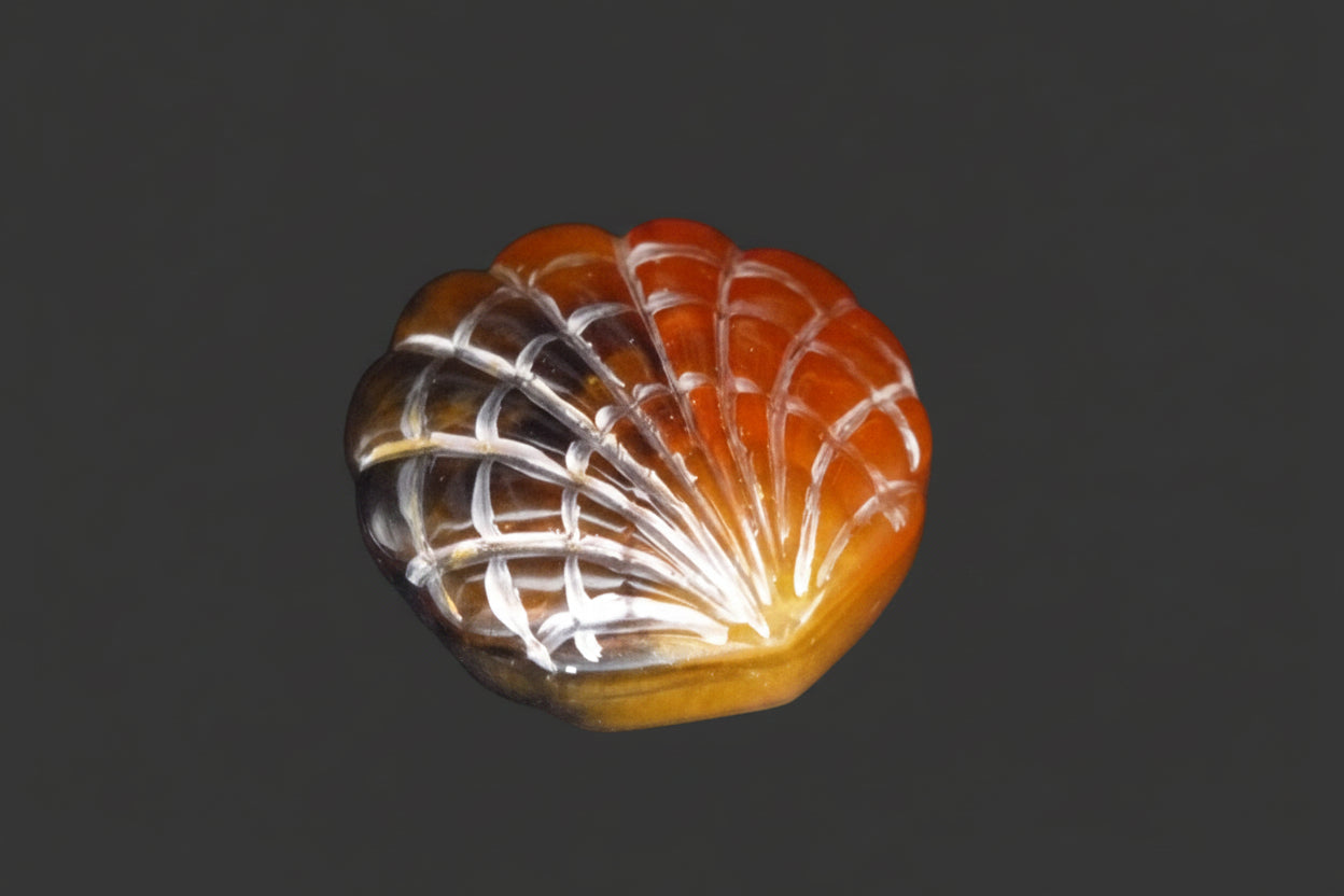 Seashell Jewelry Holder