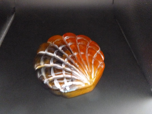 Seashell Jewelry Holder