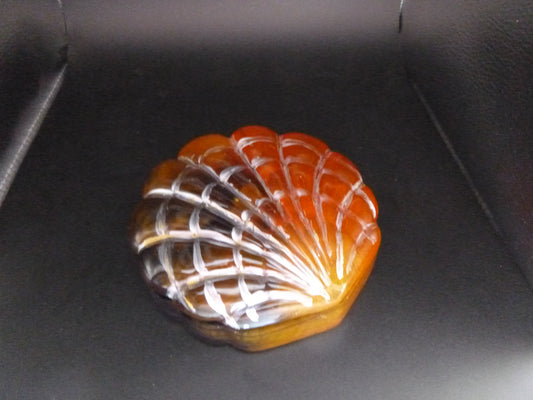 Seashell Jewelry Holder