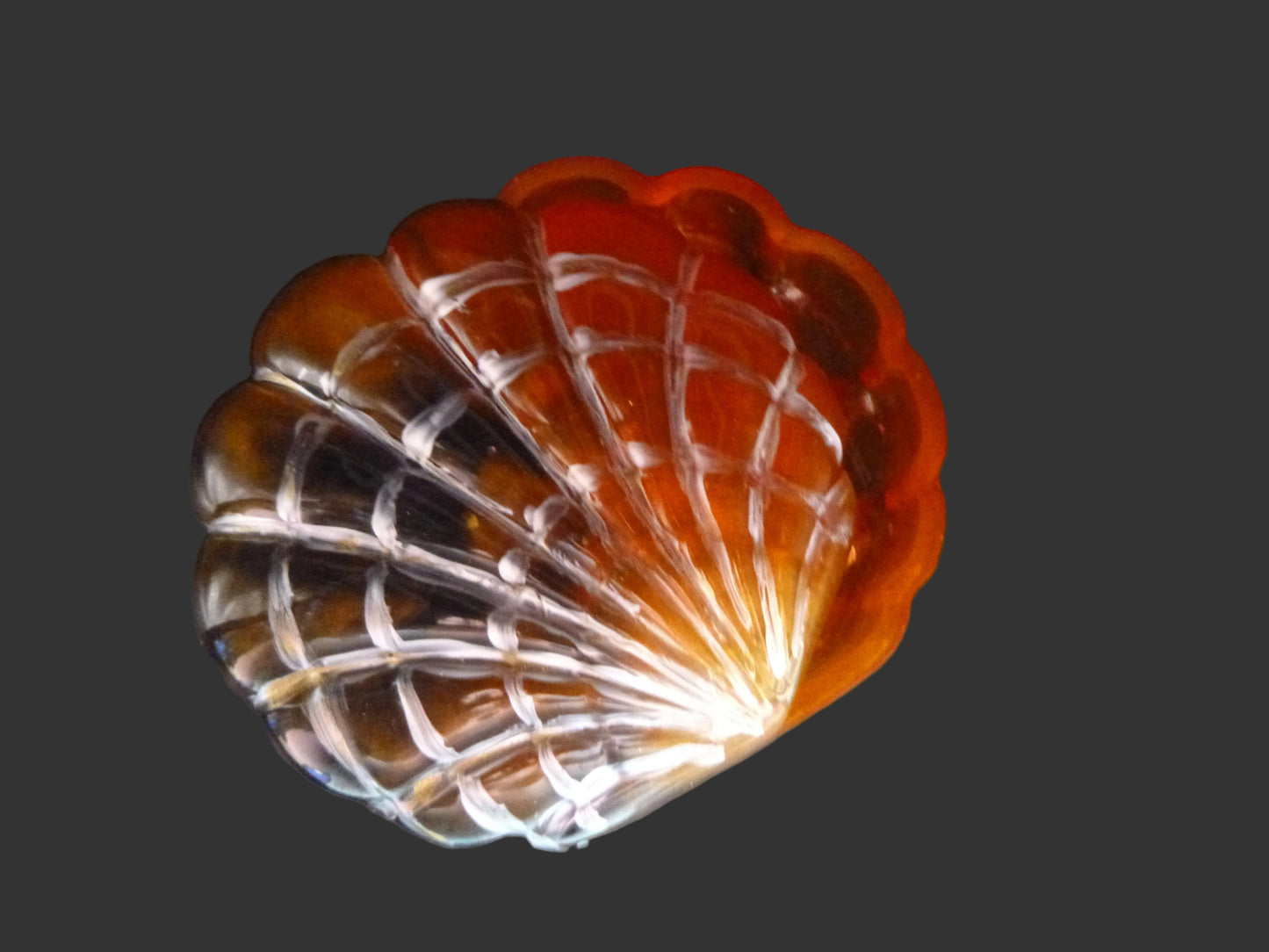 Seashell Jewelry Holder